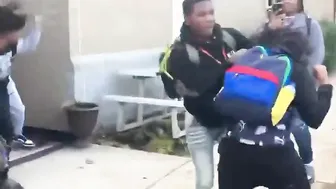 They jumping - Daily Fight Video