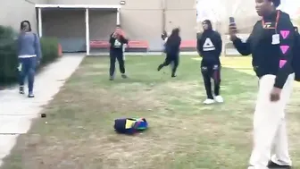 They jumping - Daily Fight Video