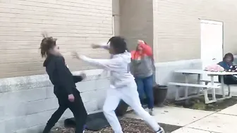 They jumping - Daily Fight Video
