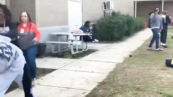 They jumping - Daily Fight Video
