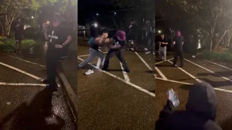 Daily crazy fights!