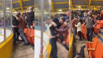 Hockey Stand Fights Break Out