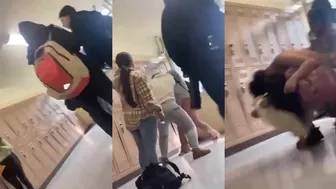 Daily crazy fights between gray pants! ????‍♂️????