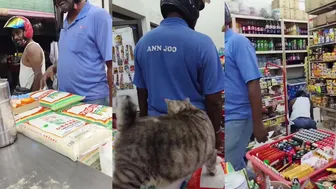 Dogs That Bark Dont Bite #Fights Video