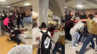 Daily crazy fights!