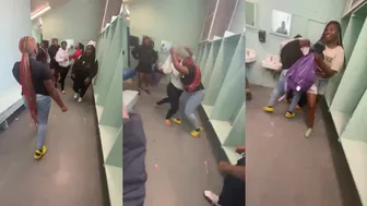 Daily crazy fights!