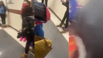 Daily crazy fights dominate the day! ????????
