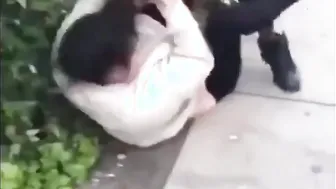 She Said Ill Beat Up You And Yo Sister