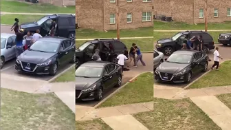 Daily Fight Compilation