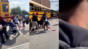 Daily crazy fights!