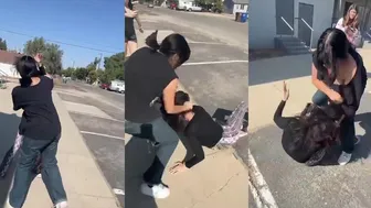 Bitch Fight Update