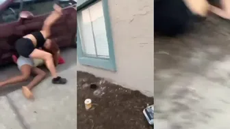 Send In Girl Fights!