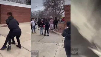 Daily crazy fights dominate the day!
