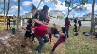 Send In Girl Fights!