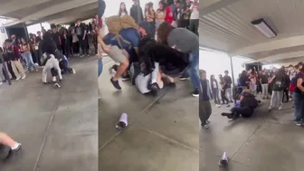 Send In Girl Fights!