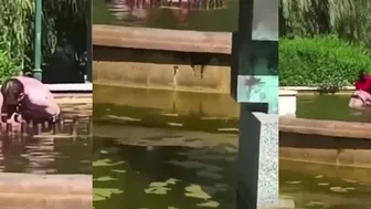 Bystanders Rescue Woman from Fountain Accident!