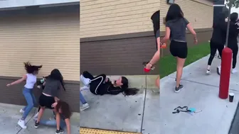 Girl Fights Viral