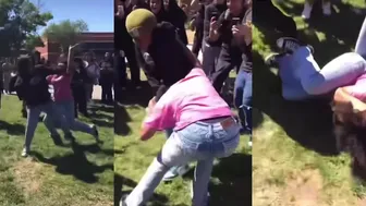 Girl fights Viral Videos