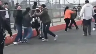 Da Best Fights Part 2