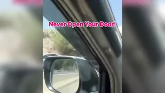 People have No Survival Instincts! Drive Off!