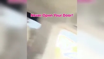 People have No Survival Instincts! Drive Off!