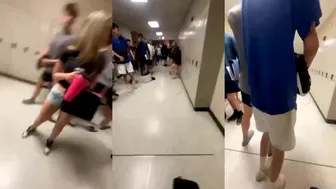 Daily crazy fights heard around the world