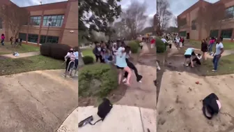 Daily crazy fights at school ???? ????