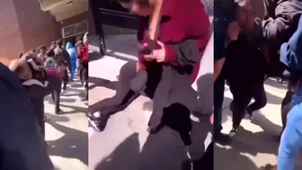Daily crazy fights at school ????