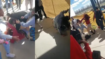 Daily crazy fights!