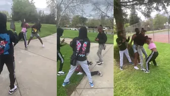 Girl fights Viral Videos