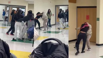 Daily crazy fights! ????????