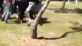 Crazy Boss