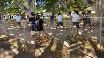 Grey Shirt vs. White Shirt Fights!! Da Best Fights