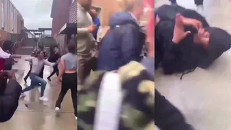 Girl fights Viral Moments
