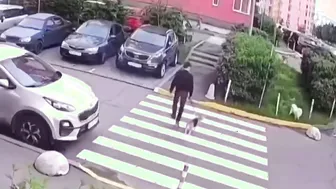 Aggressive Dog Owner Gets Served