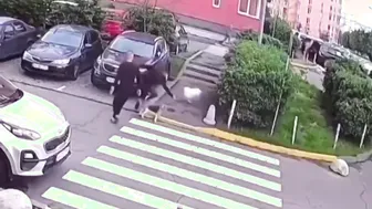Aggressive Dog Owner Gets Served