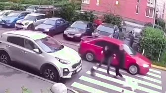 Aggressive Dog Owner Gets Served