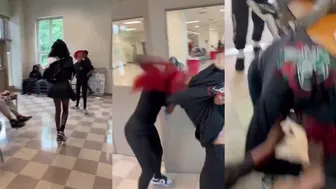 Daily crazy fights overpower us!