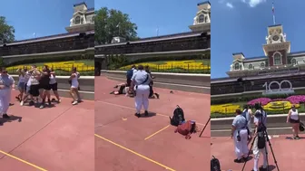 Disneyland fight