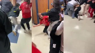 Daily crazy fights overpower us!