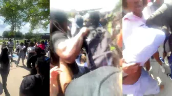 Daily crazy fights! ????????