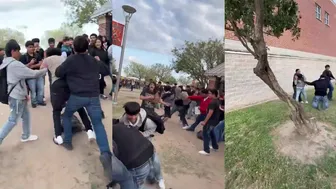 Daily crazy fights! ????????