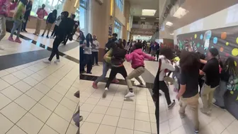 Daily crazy fights!