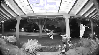 Lowlife Stole A Us Army Flag Right Off The Porch And Broke Another