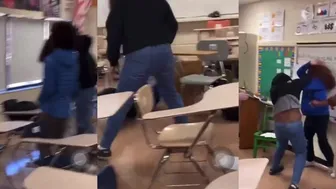 Daily crazy fights - she did something! ????????????