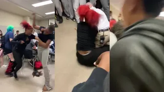 Daily crazy fights dominate!