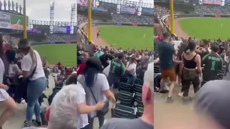 Baseball brawl fight
