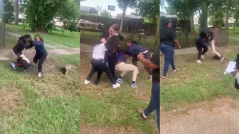 Daily crazy fights! ????