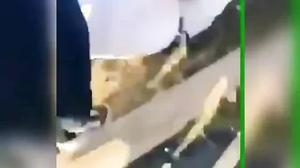 Lil Compilation Of My Lil Nigga Adan