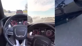 Buddy Vlogs The Whole Viral Timeline! ????????